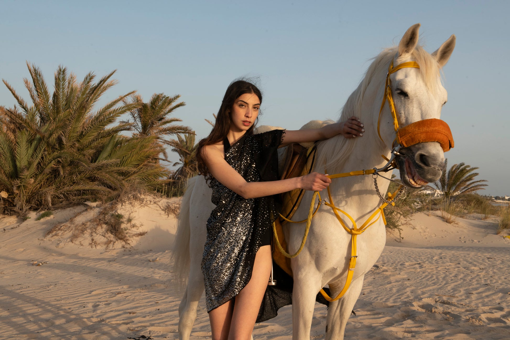 The Midnight Signature Cashmere Shawl