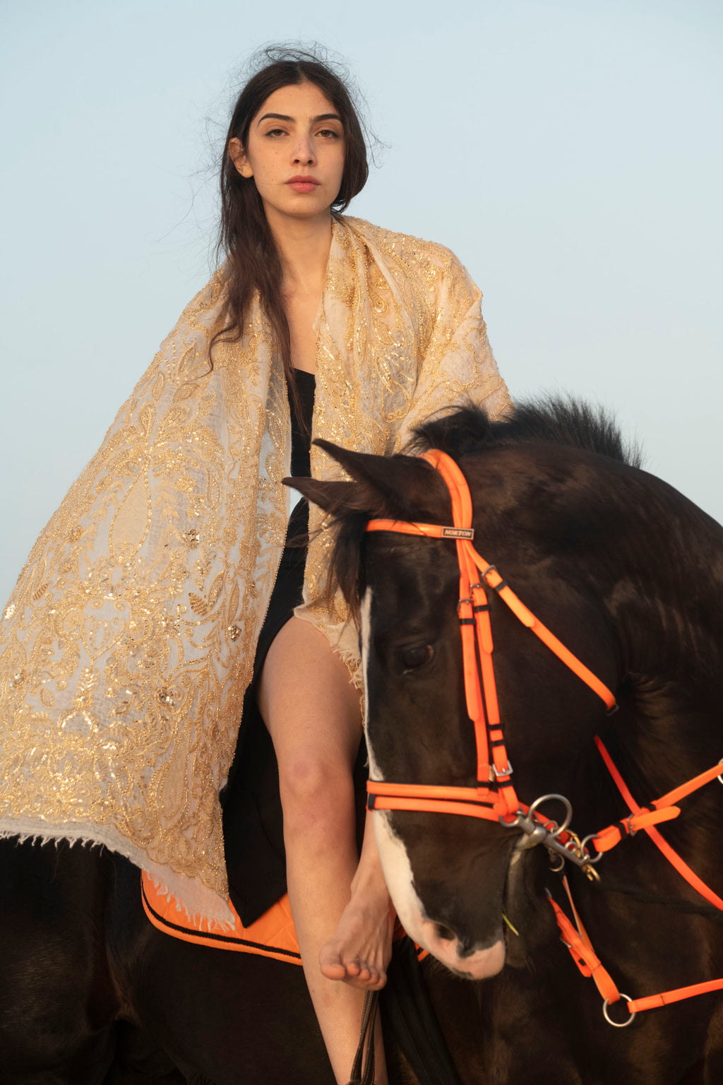 Ethereal Embroidered Cashmere Shawl